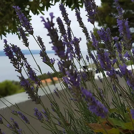 Duka Apartamento Brela