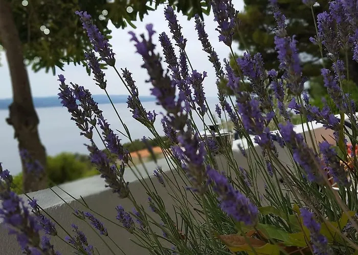 Duka Apartamento Brela